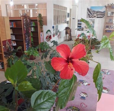 فضای داخلی کتابخانه